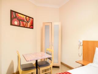 Apartment in London near Big Ben, cleaning included - Londra - 7