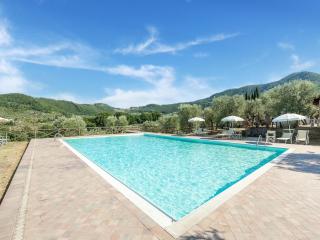 Farmhouse San Baronto with Pool & Olive Grove, cleaning included - Quarrata - 7
