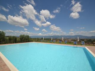 Farmhouse San Baronto with Pool & Olive Grove, cleaning included - Quarrata - 9
