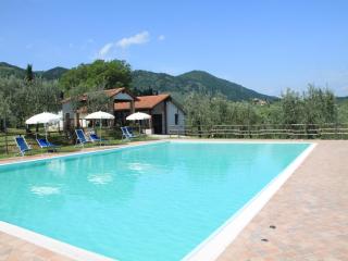 Farmhouse San Baronto with Pool & Olive Grove, cleaning included - Quarrata - 8