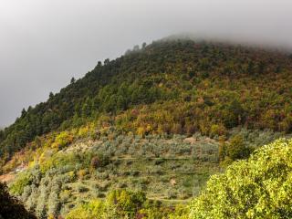 Apartment in Firenzuola near Lake Arezzo, cleaning included - Crocemaroggia - 4