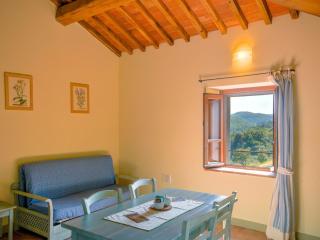 Farmhouse in Tuscany near Anghiari, cleaning included - Anghiari - 3