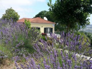 Villa in Óbidos with Pool and Vineyards, cleaning included - Carreiros - 3