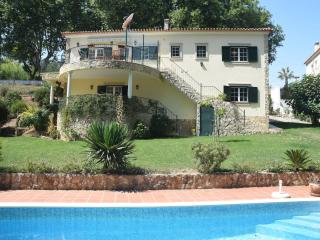 Villa in Óbidos with Pool and Vineyards, cleaning included - Carreiros - 9