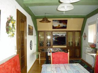 Apartment in Bernau near Feldberg Ski Area, cleaning included - - 8
