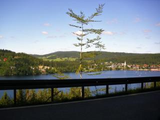 Beautiful apartment in a Black Forest house with conservatory - Bernau im Schwarzwald - 2