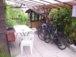 Apartment in Bernau near Feldberg Ski Area, cleaning included - - 5