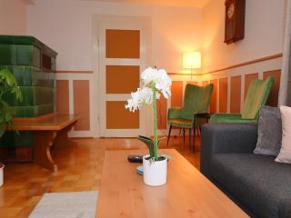 Apartment in Black Forest near Danube Source, cleaning included - Villingen-Schwenningen - 1