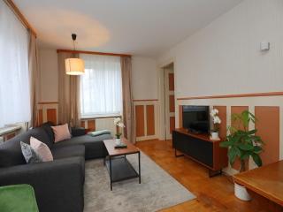 Apartment in Black Forest near Danube Source, cleaning included - Villingen-Schwenningen - 7