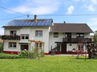 Apartment in Bischoffingen near Kaiserstuhl, cleaning included - Bischoffingen - 4