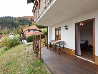 Apartment in Kleines near Forest and Lake, cleaning included - Raich - 3
