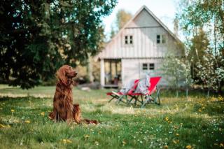 Wonderful holiday home in the countryside, cleaning included - - 0