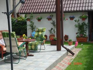 Holiday house with swimming pool in Morzyczyn, cleaning included - Morzyczyn - 5