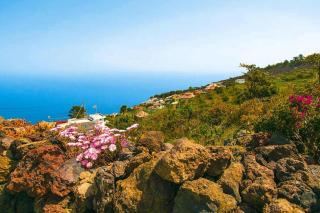 Apartment in El Tanque with garden, cleaning included - Las Cruces - 4