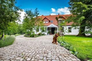 Large holiday villa in the countryside in Be czna, cleaning included - - 9