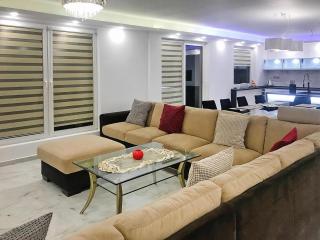 Holiday home with pool, whirlpool and sauna, cleaning included - Sieciemin - 8
