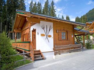 holiday home, Königsleiten, cleaning included - Königsleiten - 9