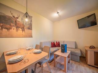 Apartment in Brixen im Thale with parking, cleaning included - Brixen im Thale - 8