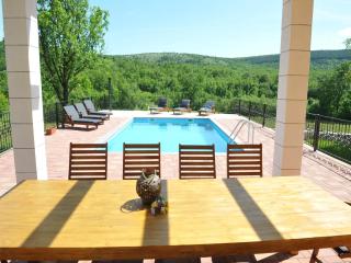 Luxurious Villa in Tijarica with a Private Pool, cleaning included - Pocrnja - 5