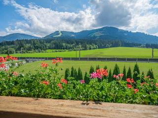 Apartments home Gamper, Brixen im Thale, cleaning included - Brixen im Thale - 1