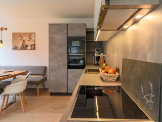 Modern Apartment in Kirchdorf with Garden - Kirchdorf in Tirol - 3