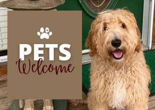 Log Cabin, Private Hot Tub, WiFi, Fireplace - 1