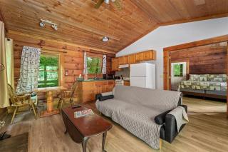 Pet-Friendly Cabin, In-Room Jacuzzi, King Bed, WiFi - 6