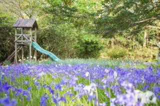 Loch Lomond Manor - Helensburgh - 2