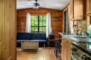 MTN Views, Hot Tub, WiFi, Sleeps 3 - Sevierville - 6