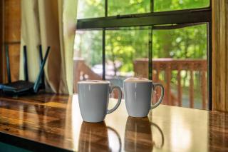 MTN Views, Hot Tub, WiFi, Sleeps 3 - 2