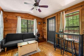 MTN Views, Hot Tub, WiFi, Sleeps 3 - Sevierville - 7