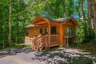 MTN Views, Hot Tub, WiFi, Sleeps 3 - Sevierville - 8