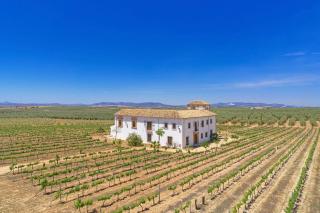 Cortijo Don Cristobal - Mollina - 0