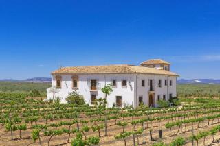 Cortijo Don Cristobal - 9