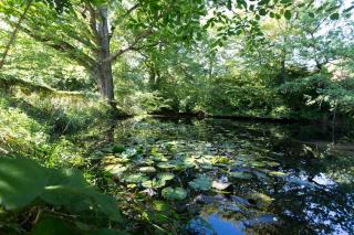 Boarzell - Ticehurst - 2