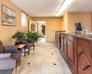 Econo Lodge Near Quantico Marine Base - Dumfries - 4