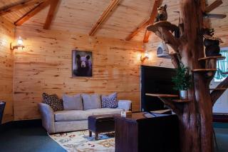 Bear Necessities Cabin, Mesa Verde Getaway - 0