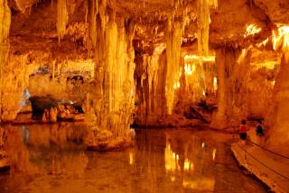 Rifugio Rosa - Castellana Grotte - 1