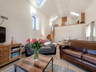 Parlwr Godro - Uk41513 - Llanfair Clydogau - 6
