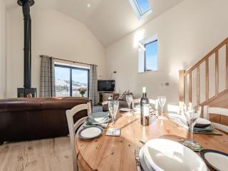 Parlwr Godro - Uk41513 - Llanfair Clydogau - 5