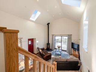 Parlwr Godro - Uk41513 - Llanfair Clydogau - 4