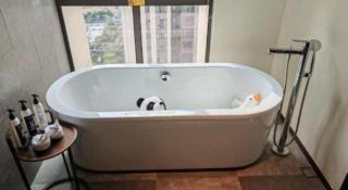 Wanda JIN Baise - 8
