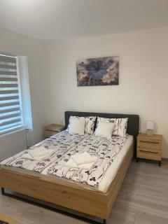 Apartmani Srce Vršca - Vršac - 9
