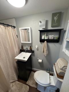 Hidden Oasis Farmhouse Charm - San Antonio - 5