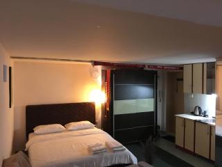 City Center apartment - Podgorica - 5