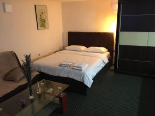 City Center apartment - Podgorica - 6