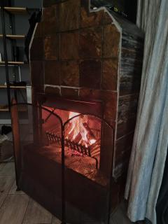 Bosveld In Die Stad - Alberton - 7