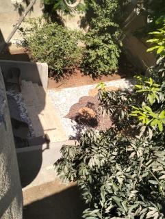 Countryside House - Al Minya - 2
