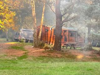Chalet dans les bois - 0