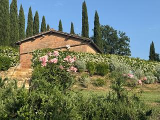 Cottage con piscina immerso nel verde delle crete senesi - 1